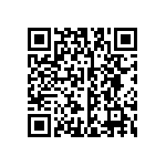 B32520C6333J289 QRCode