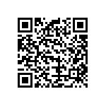 B32529C1104K289 QRCode