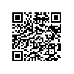 B32529C1224M289 QRCode