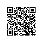 B32529C1273K289 QRCode