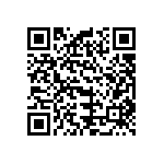 B32529C1332M289 QRCode