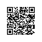 B32529C3104K289 QRCode