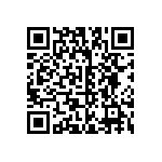 B32529C3153J000 QRCode