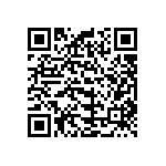 B32529C3333K000 QRCode