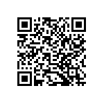 B32529C3334K000 QRCode