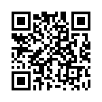 B32529C6153K QRCode