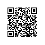 B32529E6333K289 QRCode