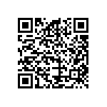 B32560J6152K289 QRCode