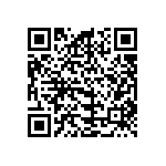 B32560J6333K000 QRCode