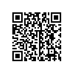 B32621A3333K000 QRCode