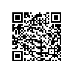 B32621A4333J000 QRCode