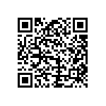 B39931B4040Z810 QRCode