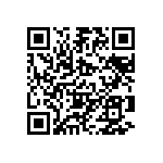 B41231B5229M000 QRCode