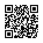 B41691A8687Q7 QRCode