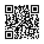 B57411V2101H62 QRCode