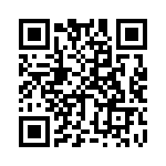 B57421V2223J62 QRCode