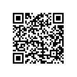 B64290L0043X065 QRCode