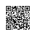 B64290L0651X087 QRCode