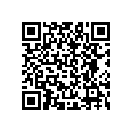 B65651T0250A048 QRCode