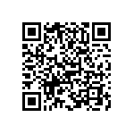 B65651T0400A048 QRCode