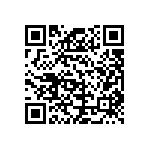 B65733A0630A027 QRCode