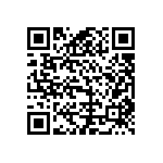 B65807N0160G048 QRCode