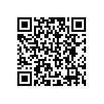 B65811J0160A041 QRCode