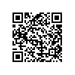 B65815E0063A087 QRCode