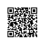 B65843A0200B038 QRCode