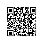 B66233G0250X187 QRCode