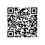 B66317G0100X187 QRCode