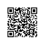 B66413A0040J087 QRCode