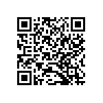 B88069X3951C253 QRCode