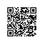 B88069X5941T203 QRCode