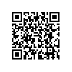 BACC63BP22C32P10 QRCode