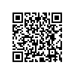 BACC63BV20H28S6H QRCode