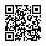 BC-538756-013 QRCode