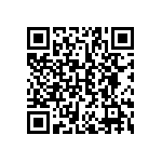 BCR5AS-12B-T13-B01 QRCode