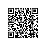 BCS-107-L-D-PE-011 QRCode