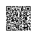 BCS-123-L-D-DE-013 QRCode