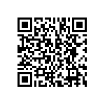 BCS-123-L-D-DE-041 QRCode