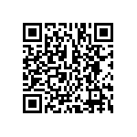 BCS-123-L-D-HE-013 QRCode