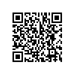 BCS-133-L-D-DE-041 QRCode