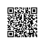 BCS-133-L-S-PE-013 QRCode