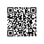 BCS-133-L-S-TE-027 QRCode