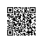 BCS-137-L-D-PE-017 QRCode