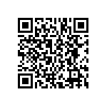 BCS-145-L-D-DE-030 QRCode