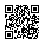 BDW93-S QRCode