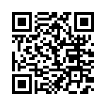 BFC233617333 QRCode