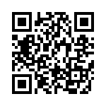 BFC233620332 QRCode